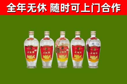 宁河烟酒回收公斤五粮液.jpg